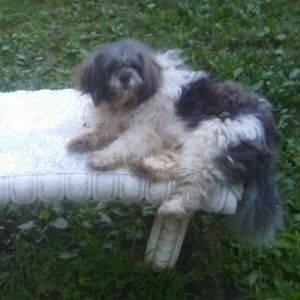 Meet your Posher, Rita